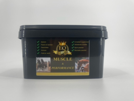 muscle performance 1000 g