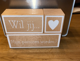 Wil jij mijn Peetoom/peettante zijn?