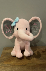 Olifant met geboorte gegevens