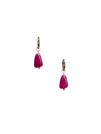 Kurt fuchsia