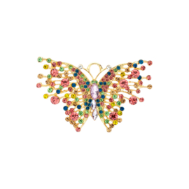MBR24 broche multi - color