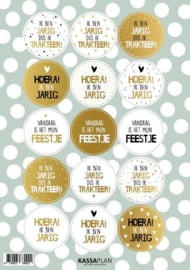 Stickervel A5  (15 stickers) - Trakteren