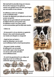 Koffieboom kauwwortel M