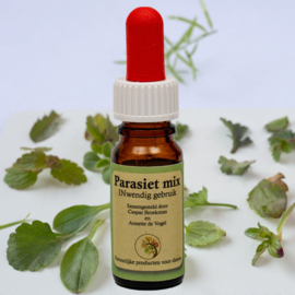 Krachtig Kruid Parasietmix INwendig 10ml