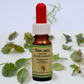 Krachtig Kruid Niermix 10ml