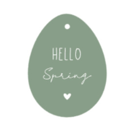 Paashanger | Hello Spring | diverse kleuren | per 5