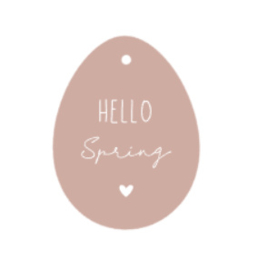 Paashanger | Hello Spring | diverse kleuren | per 5