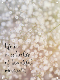 Tuinposter | life is a collection of beautiful moments 60x80xm