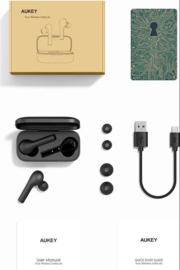 Wireless Earbuds T21S
