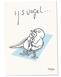 IJsvogel | Bartjoo