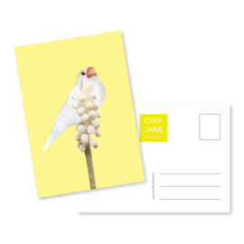Vogel geel | Giny