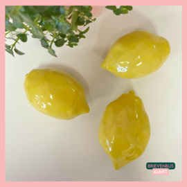 Gele citroenen (p.st.) 🍋