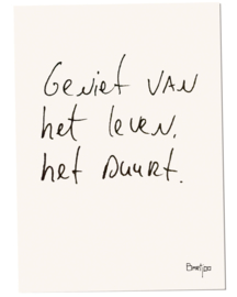 Geniet | Bartjoo