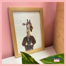 Gorgio Giraffe