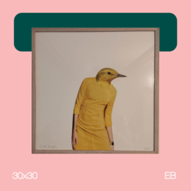 Yellow bird | collage | 30x30 | EB
