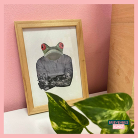 Freddy Frog