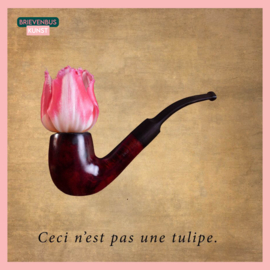 Ceci n'est pas une tulipe