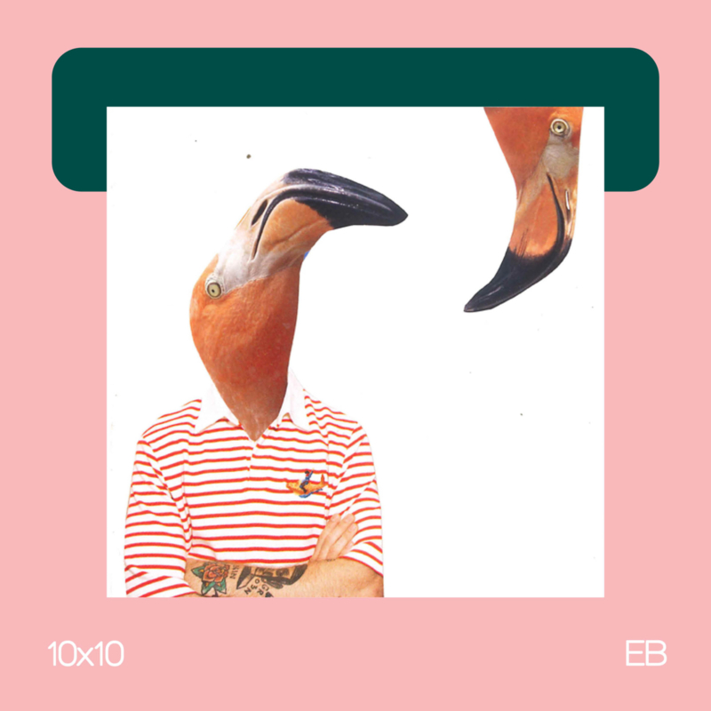Flamingo Friends | collage | 10x10 | EB