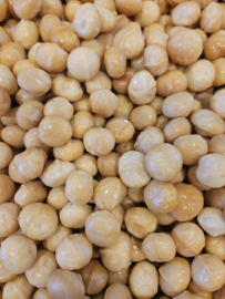 Macadamia