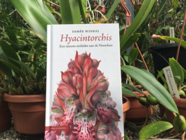 "Hyacintorchis" door Esmée Winkel