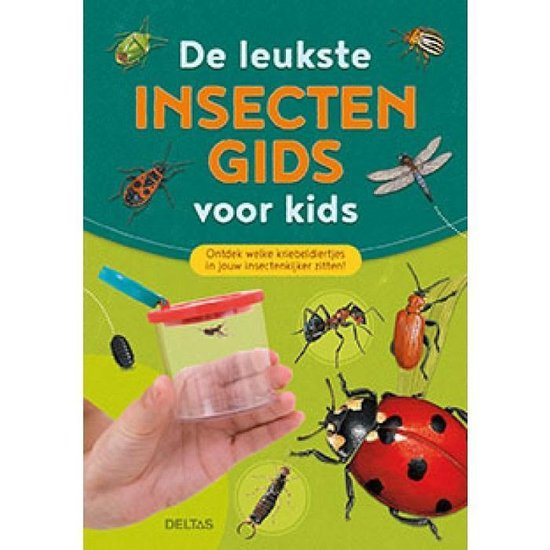 De leukste insecten gids voor kids