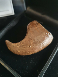 Beauty and the Beast Original Screen Used Beast Claw Movie Prop