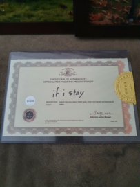 If I Stay 2014 Original Screen Used Family Photo Fram Movie Prop