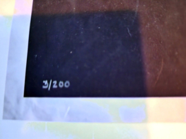 The X Files Season 11 Epsiode Familiar Original LE OF 200 Poster