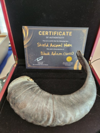 DC Universe Black Adam Original Screen Used Shield Horn Prop