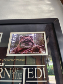Star Wars Return of the Jedi 1983 Original Screen Used Ewok Fur for Wicket Prop