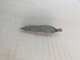 The Haunting of Bly Manor Original Screen Used Leech Movie Prop