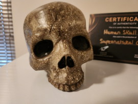 Supernatural (2005-2020) Original Screen Used Ritual Human Skull Movie Prop