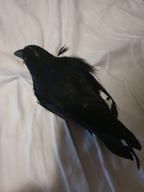 Sons of Anarchy Original Screen Used Gemma Dead Crow Movie Prop
