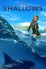The Shallows 2016 Original Screen Used Piece of the Death Whale Movie Prop