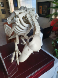 Hellfest Original Screen Used Dinosaur Bird Skeleton Figure Prop