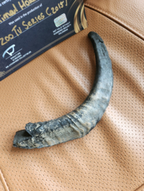 CBS ZOO TV Series (2015) Original Production Used Big Animal Horn Movie Prop