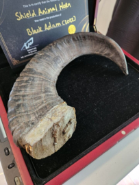 DC Universe Black Adam Original Screen Used Shield Horn Prop