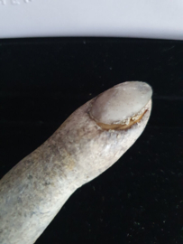 Wes Craven Pulse Original Screen Used Dead Finger Movie Prop
