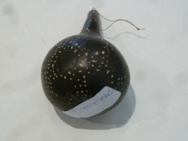 Prison Break Original Screen Used Gourd from Veronica Home Prop