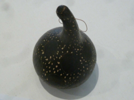 Prison Break Original Screen Used Gourd from Veronica Home Prop