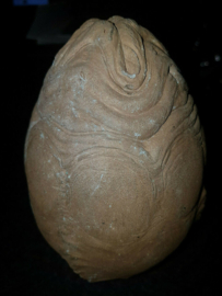 Alien vs Predator Original Production Used Alien Egg Movie Prop