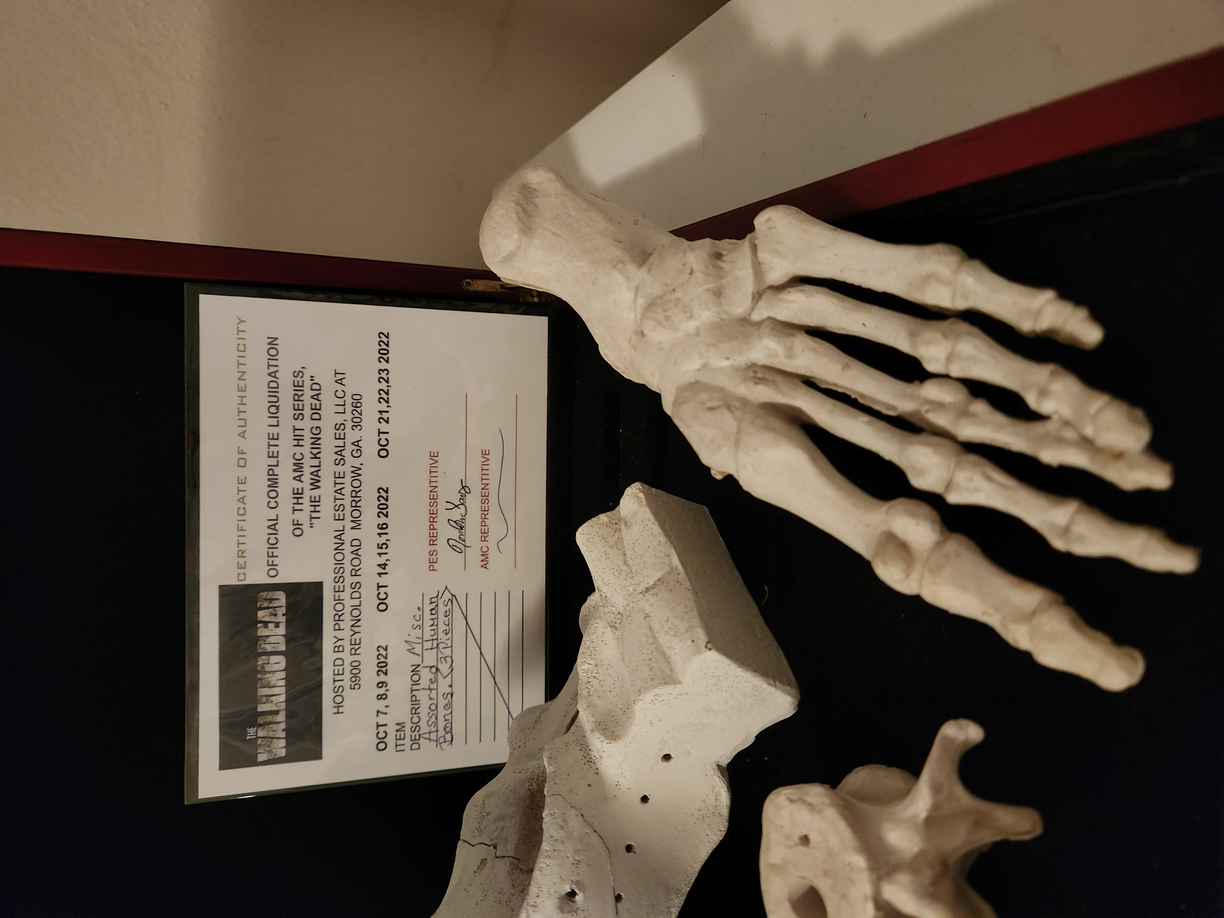 AMC The Walking Dead Original Production Used Human Grave Bones Set Movie Prop