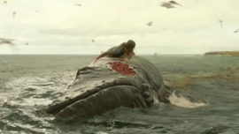 The Shallows 2016 Original Screen Used Piece of the Death Whale Movie Prop