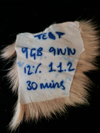Beauty and the Beast Original Production Used Beast Hair Movie Prop