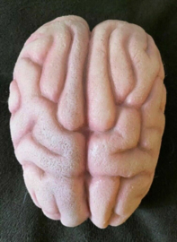 Scary Movie 2 Original Screen Used Shorty's Brain Movie Prop