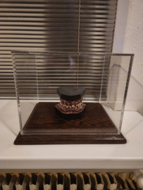 Nightmare on Elm Street 4 Lifesize Freddy Krueger Teeth Original Mold Movie Prop REPLICA
