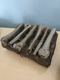 Cursed Netflix Series Original Screen Used Skulls and Bones Prop