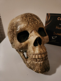 Supernatural (2005-2020) Original Screen Used Ritual Skull Movie Prop