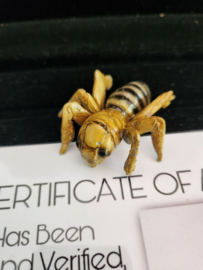 The Unborn 2009 Original Screen Used Bathroom Bug Insect Movie Prop