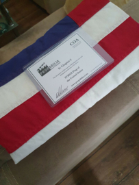 Stephen King IT Chapter 2 Original Screen Used USA Flag Prop